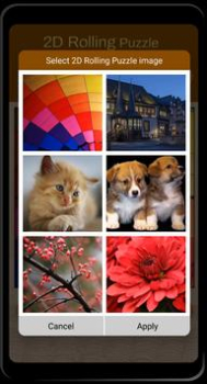 2D滚动拼图游戏安卓版下载（2D Rolling puzzle） v1.11 screenshot 3