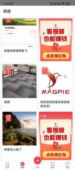 传喜鸟广告营销app安卓版