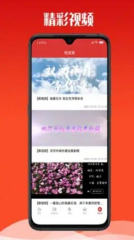 云上双河资讯播报app官方版 v1.1.4 screenshot 1