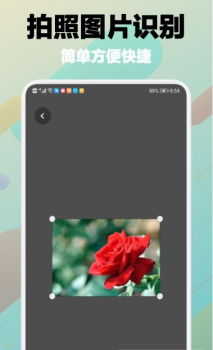 树林记忆植物识别手机版app v1.1 screenshot 1