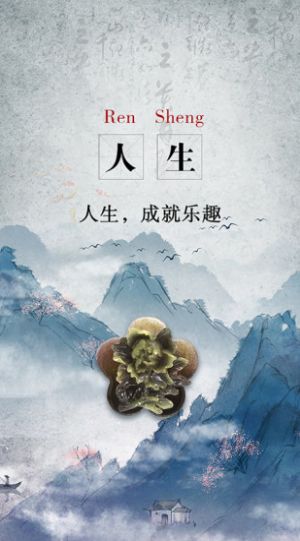 艺苑书画鉴赏app手机版