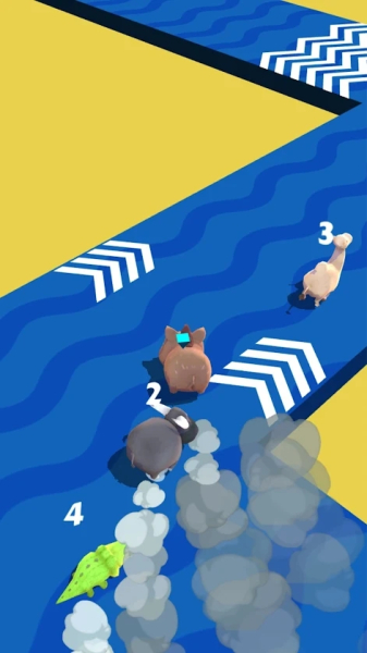 动物漂移游戏手机版（Animal Drift）