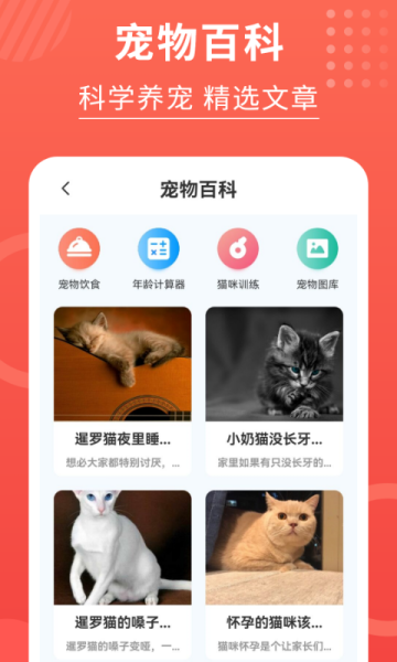 喵星人翻译器app最新版