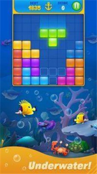 小鱼分类拼图游戏安卓版下载（FishSort Puzzle） v1.0.2.2 screenshot 1