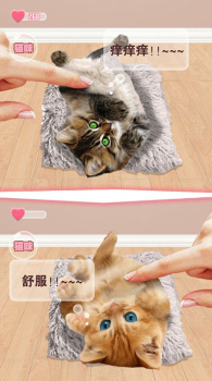 猫猫语言转换器最新版app v1.0 screenshot 4