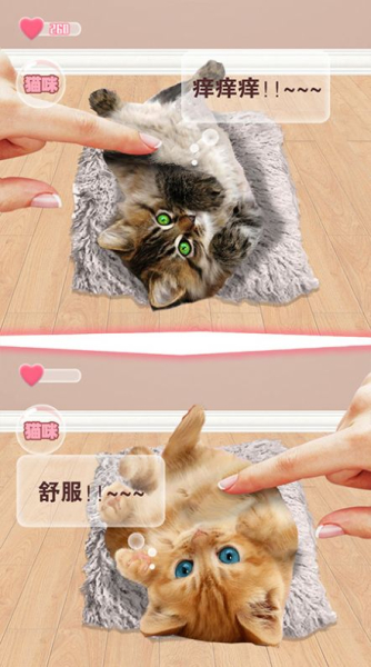 猫猫语言转换器最新版app