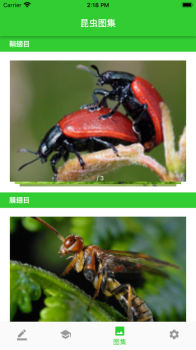 虫笔昆虫信息记录app官方版 v1.0.2 screenshot 1