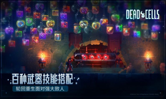 死亡细胞The Queen and the Sea dlc完整版(Dead Cells) v3.3.6 screenshot 2