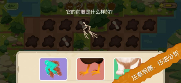 恐龙考古队游戏官方苹果版