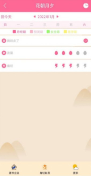 花朝月夕经期记录app官方版 v1.0 screenshot 2