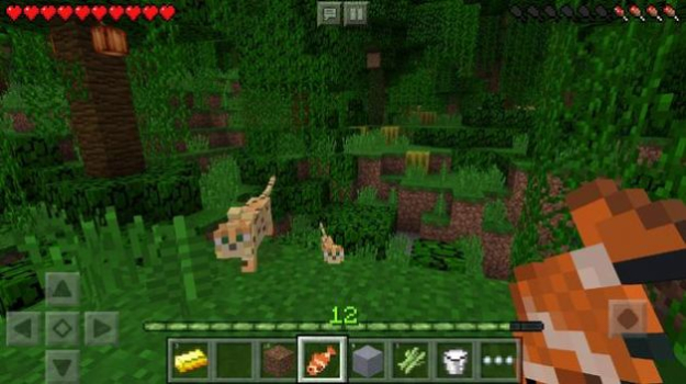  Minecraft我的世界基岩版1.20末地更新下载 screenshot 3