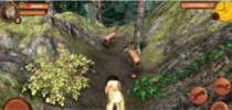 野生狮子动物生存游戏安卓版下载(Wild Lion Simulator) v1.4 screenshot 3
