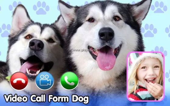 Dog Fake Call来电视频铃声app手机版 v9.0 screenshot 1