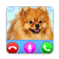 Dog Fake Call来电视频铃声app手机版