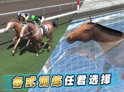 iHorse22游戏安卓版