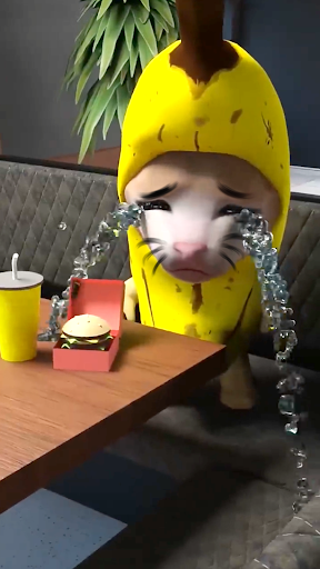Banana Series Cat Meme apk download