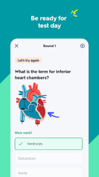 Quizlet mod apk download latest version v8.8 screenshot 2