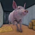 Evil Pig Scary Escape apk download for android