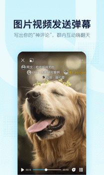 QQ apk download english old version v8.9.85 screenshot 8