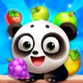 Panda Fruit Bubble Pop Shoot apk Download
