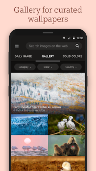 Bing Wallpapers for android download latest version v12.0.47470801 screenshot 1