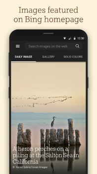 Bing Wallpapers for android download latest version v12.0.47470801 screenshot 2