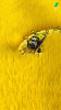 Stone Grass Mowing Simulator mod apk unlimited money and gems v1.57.31 screenshot 1