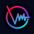 Vibit Music Video Maker app free download