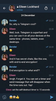 Telegram X apk download for android v0.25.10.1649-arm64-v8a screenshot 3