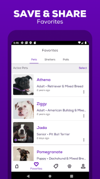 Petfinder App Free Download v2.95.0 screenshot 2