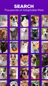 Petfinder App Free Download v2.95.0 screenshot 4
