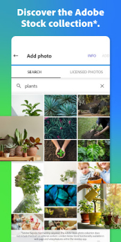 Adobe Express download apk for android v8.22.0 screenshot 3