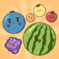 Watermelon Merge Fruit Drop apk download