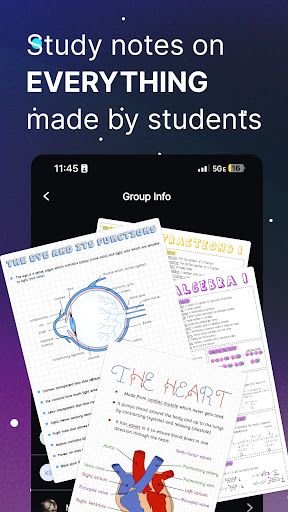 Knowunity School Study Helper apk download latest version