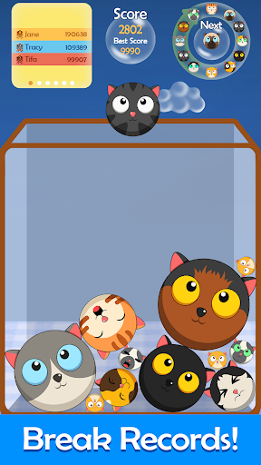 Watermelon Game Cat apk download