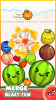 Watermelon Drop Mix Fruit Pop apk download v0.0.3 screenshot 2