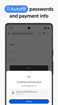 Chrome Dev apk download latest version v113.0.5672.13 screenshot 3