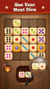 Woody Dice Merge Puzzle apk download v2.5.0 screenshot 1