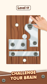 Bolt Master Metal Nuts Puzzle apk download v0.6 screenshot 4