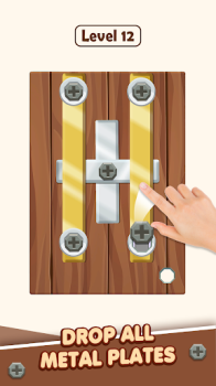 Bolt Master Metal Nuts Puzzle apk download v0.6 screenshot 1