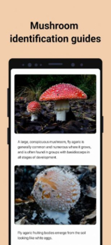 Picture Mushroom app mod apk free download v2.9.20 screenshot 1