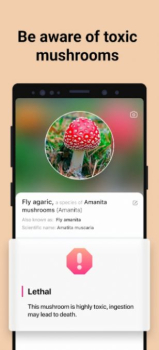 Picture Mushroom app mod apk free download v2.9.20 screenshot 3