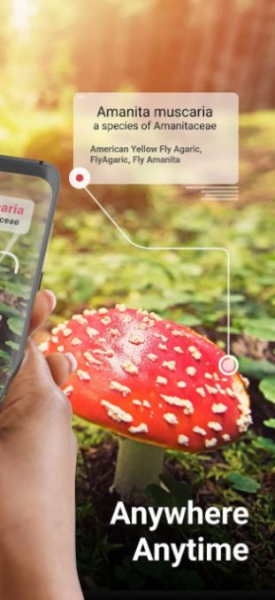Picture Mushroom app mod apk free download