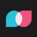 Tandem Language exchange mod apk download latest version