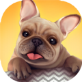 Dog Shelter game download android apk