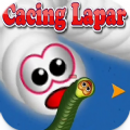 WORM ZONE GAME CACING LAPAR Apk Free Download