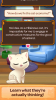 Time For Cats game download latest version v1.1.0 screenshot 2