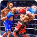 Real Shoot Boxing Tournament mod apk unlimited money