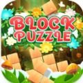 Block Puzzle Wonderland apk download for android