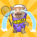 Cat Tennis Master apk download for android